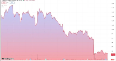 Las acciones de Burford se desploman tras el fallo favorable a la Argentina en el juicio por YPF